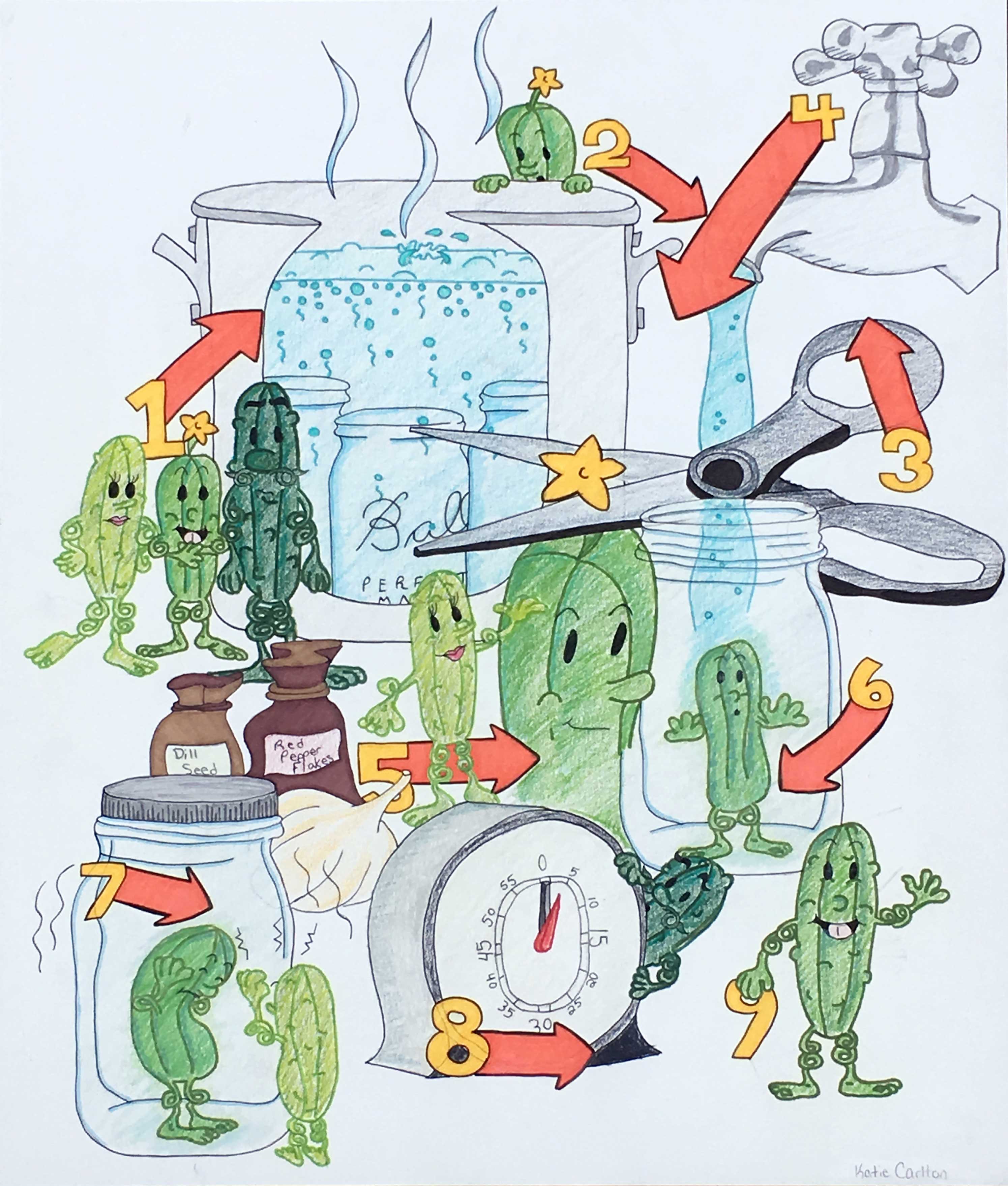 Pickle-Illustration1